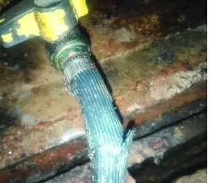 1567405450163891.jpg 640 (1).webp (1).jpg