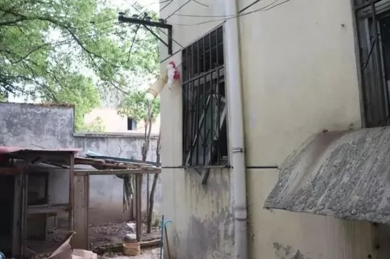 1595403814307009.jpg 640 (1).webp (36).jpg